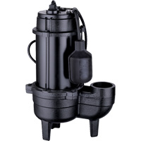 Pompe d'&eacute;gout en fonte, 120 V, 9,5 A, 6000 gal./h, 1/2 CV Les Fournitures Industrielles Méga