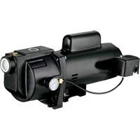Pompe &agrave; jet en fonte &agrave; double tension pour puit peu profond, 115 V/230 V, 1260 gal./h, 1 CV Les Fournitures Industrielles Méga