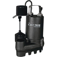 Cast Iron Submersible Sump Pump with Vertical Float Switch, 67 GPM, 33 V, 5 A, 1/3 HP Les Fournitures Industrielles Méga