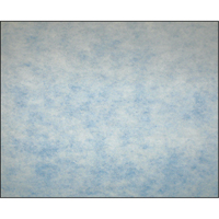 High-Arrestance Synthetic Media Filters, Pad, MERV 5, 24" W x 2" D x 12" H Les Fournitures Industrielles Méga