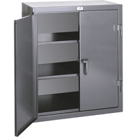 Armoires de rangement hauteur comptoir, Acier, 2 Tablettes, 36" h x 24" la x 20" P, Gris Les Fournitures Industrielles Méga