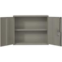 Armoire murale, Acier, 2 Tablettes, 30" h x 36" la x 12" P, Gris Les Fournitures Industrielles Méga