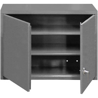 Armoire murale, 27" h x 29-7/8" la x 13-11/16" p, 2 tablettes, Acier, Gris Les Fournitures Industrielles Méga