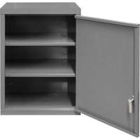 Armoire murale, 27" h x 13-11/16" la x 18" p, 2 tablettes, Acier, Gris Les Fournitures Industrielles Méga