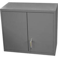 Armoire murale, 27" h x 13-11/16" la x 35-7/8" p, 2 tablettes, Acier, Gris Les Fournitures Industrielles Méga