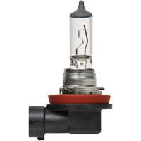 Ampoule de base pour feu avant H8, Halog&egrave;ne, 35 W, Blanc cass&eacute; Les Fournitures Industrielles Méga