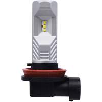 Ampoule pour feu avant H8, DEL, 12,8 W/9 W, Blanc Les Fournitures Industrielles Méga