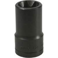 E-20 Torx&reg; Socket Les Fournitures Industrielles Méga