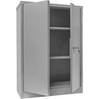 Armoire de rangement &agrave; hauteur de comptoir, Acier, 2 Tablettes, 42" h x 30" la x 15" P, Gris Les Fournitures Industrielles Méga