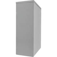 Armoire de rangement &agrave; hauteur de comptoir, Acier, 2 Tablettes, 42" h x 30" la x 15" P, Gris Les Fournitures Industrielles Méga