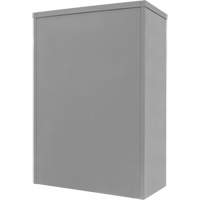 Armoire de rangement &agrave; hauteur de comptoir, Acier, 2 Tablettes, 42" h x 30" la x 15" P, Gris Les Fournitures Industrielles Méga