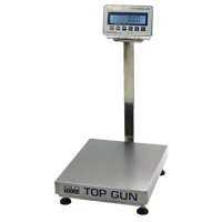 Platform Scales