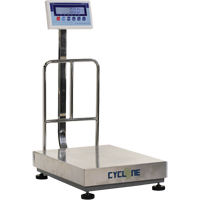 Cyclone 300 Bench and Platform Scale, 600 lbs. / 300 kg Capacity, 17-3/4" L x 23-3/5" W Les Fournitures Industrielles Méga