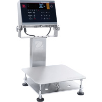 Defender 6000 Washdown Bench Scale, 25 lbs. Capacity, 11-4/5" L x 11-4/5" W Les Fournitures Industrielles Méga