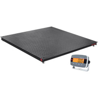 Defender 3000 Floor Scale, 2500 lbs. Capacity, 4' L x 4' W Les Fournitures Industrielles Méga