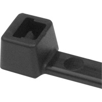 PA66 Cable Ties, 5-1/2" Long, 18 lbs. Tensile Strength, Black Les Fournitures Industrielles Méga