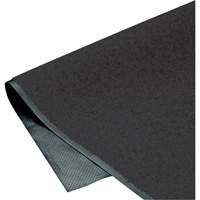 ColorStar Matting, Wiper, 3' x 5' x 3/8", Charcoal Les Fournitures Industrielles Méga