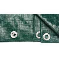 B&acirc;che, Robuste, Vert, 8' x 6' x 9 mils Les Fournitures Industrielles Méga