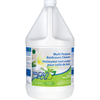 Nettoyant concentr&eacute; tout usage pour salle de bains, 4 L, Cruche Les Fournitures Industrielles Méga