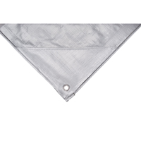 B&acirc;che, Super robuste, Argent, 10' x 8' x 12 mils Les Fournitures Industrielles Méga