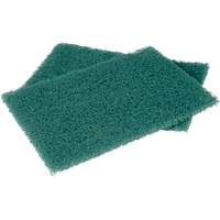 Scotch-Brite Hand Pads, Scrubbing, 6" W x 9" L Les Fournitures Industrielles Méga