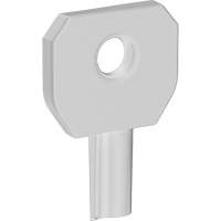 Cl&eacute; pour distributeur Lock or Not Les Fournitures Industrielles Méga