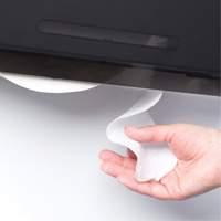 Cored JRT Combo Unit Toilet Paper Dispenser, Multiple Roll Capacity Les Fournitures Industrielles Méga