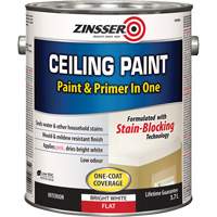 Ceiling Paint & Primer in One, White, Very Flat, 3.78 L, Gallon Les Fournitures Industrielles Méga
