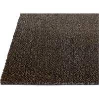 Tapis dint&eacute;rieur Palliser, Essuie-pieds/grattoir, 3-1/2' x 6' x 5/16", Anglis Les Fournitures Industrielles Méga
