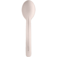 Bagasse Compostable Spoons Les Fournitures Industrielles Méga