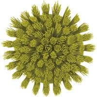 Brosse ronde HyDrive pour perceuse, Soies Tr&egrave;s ferme, Longueur de 3-1/10", Jaune Les Fournitures Industrielles Méga