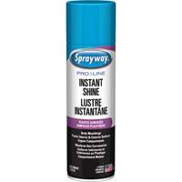 Brillant instantan&eacute; Pro Line pour surfaces en plastique, 11 oz, Canette a&eacute;rosol Les Fournitures Industrielles Méga