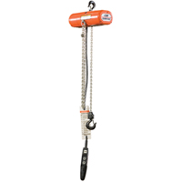 ShopStar Electric Hoists, 10' Lift, 250 lbs. (0.125 tons) Capacity, 16 FPM Les Fournitures Industrielles Méga