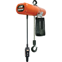 Lodestar Electric Chain Hoists, 10' Lift, 250 lbs. (0.125 tons) Capacity, 32 FPM Les Fournitures Industrielles Méga