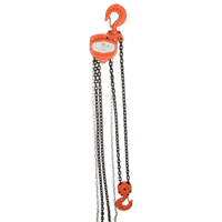 Chain Hoist, 10' Lift, 1000 lbs. (0.5 tons) Capacity, Alloy Steel Chain Les Fournitures Industrielles Méga