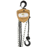 Heavy-Duty Gold Series Chain Hoist, 10' Lift, 1000 lbs. (0.5 tons) Capacity, Alloy Steel Chain Les Fournitures Industrielles Méga