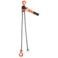 Lever Chain Hoist, 10' Lift, 1000 lbs. (0.5 tons) Capacity, Alloy Steel Chain Les Fournitures Industrielles Méga