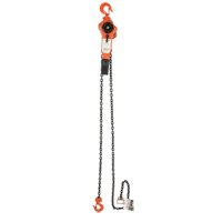 Lever Chain Hoist, 5' Lift, 3000 lbs. (1.5 tons) Capacity, Alloy Steel Chain Les Fournitures Industrielles Méga
