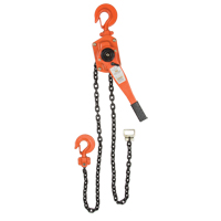 Lever Chain Hoist, 5' Lift, 6000 lbs. (3 tons) Capacity, Alloy Steel Chain Les Fournitures Industrielles Méga