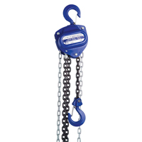Chain Hoist, 10' Lift, 2000 lbs. (1 tons) Capacity, Load Chain Grade 80 Chain Les Fournitures Industrielles Méga