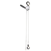 Mini Lever Hoist, 5' Lift, 500 lbs. (0.25 tons) Capacity, Zinc Plated Chain Les Fournitures Industrielles Méga