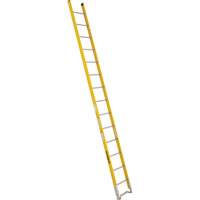 Single Section Straight Ladder - 6100 Series, 14', Fibreglass, 375 lbs., CSA Grade 1AA Les Fournitures Industrielles Méga