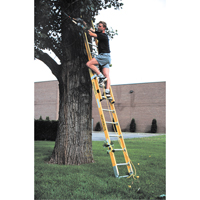 Industrial Heavy-Duty Extension Ladders (6200 Series), 375 lbs. Cap., 13' H, Grade 1AA Les Fournitures Industrielles Méga