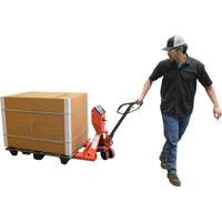 Transpalette, 48" lo x 27,5" la, Capacit&eacute; de 5000 lb Les Fournitures Industrielles Méga
