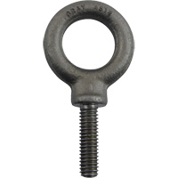 Alloy Steel Eye Bolt, 1" Dia., 1-1/4" L, 1480 lbs. (0.74 tons)/1480 lbs. Capacity Les Fournitures Industrielles Méga