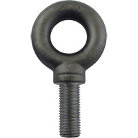 Alloy Steel Eye Bolt, 2-1/2" Dia., 3-1/2" L, 26600 lbs. (13.3 tons)/26600 lbs. Capacity Les Fournitures Industrielles Méga