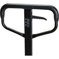 Steel Wheel Pallet Truck, Steel, 48" L x 27" W, 5500 lbs. Capacity Les Fournitures Industrielles Méga