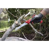 7” Folding Pruning Saw with ?Straight Blade Les Fournitures Industrielles Méga