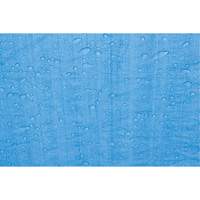 B&acirc;che, Standard, Bleu, 7' x 5' x 4 mils Les Fournitures Industrielles Méga
