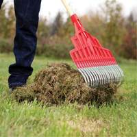 Multi-Purpose Lawn Rake, 20" Blade, 20 Tines, Hardwood Handle, Steel Blade Les Fournitures Industrielles Méga